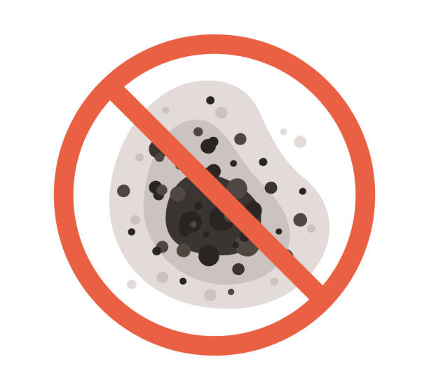 Best Mold Damage Restoration  in Bishop, CA