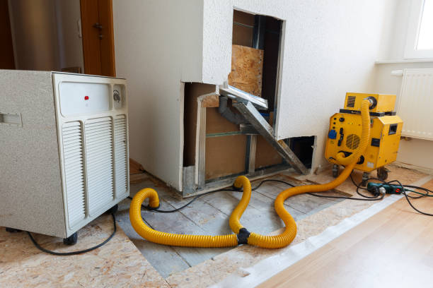 Best Water Damage & Mold Remediation  in Bishop, CA